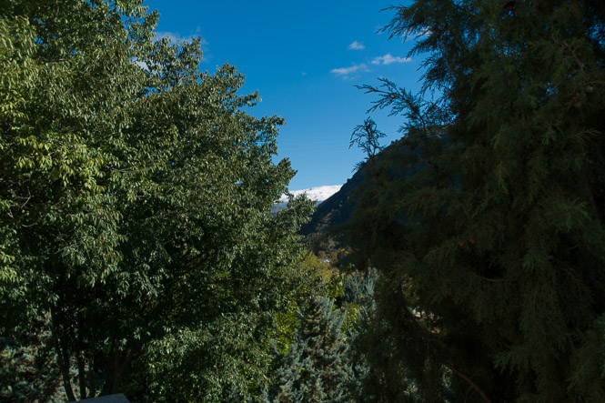 Shot with DXO ONE Camera