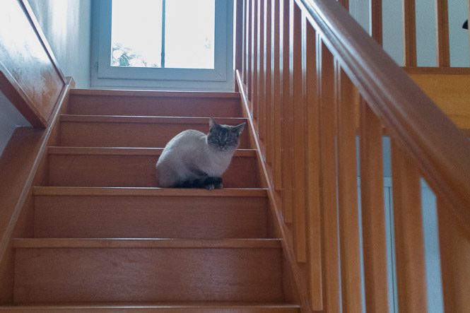 Shot with DXO ONE Camera