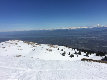 ****LELEX MARS 2016****