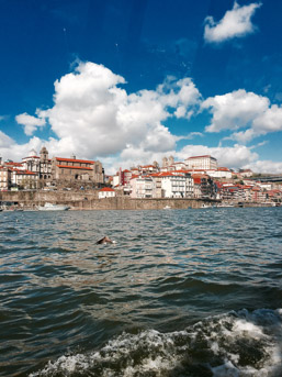 ****PORTO AVRIL 2016****